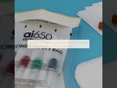 Boîte de transport isolée par réfrigérant de laboratoire avec sacs d'échantillons médicaux pour stockage en chaîne froide
